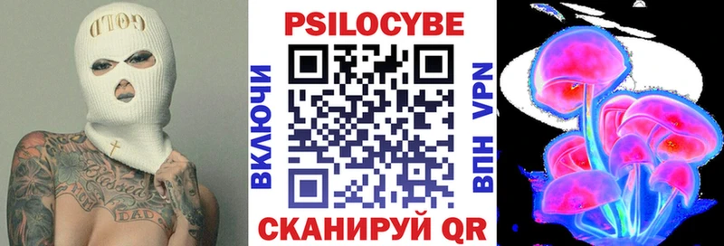 kraken ССЫЛКА  Славгород  Псилоцибиновые грибы MAGIC MUSHROOMS 