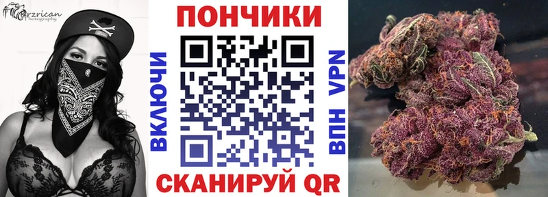 Бошки Шишки планчик  закладка  Славгород 